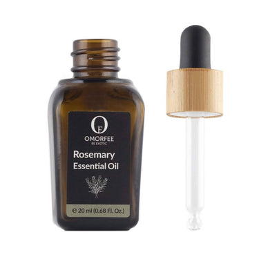 https://cdn.shopify.com/s/files/1/1857/6931/products/xkyIhETJte.jpg?v=1640949790